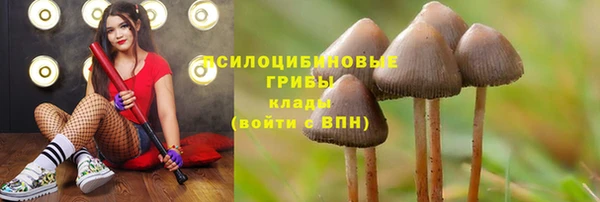прущая мука Зерноград