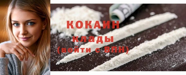 шишки Зеленодольск