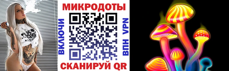 Псилоцибиновые грибы Psilocybine cubensis  Октябрьский 